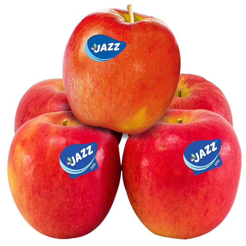 Apple Jazz Premium Quality Newzeland nz